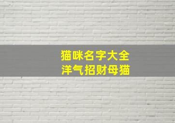 猫咪名字大全 洋气招财母猫